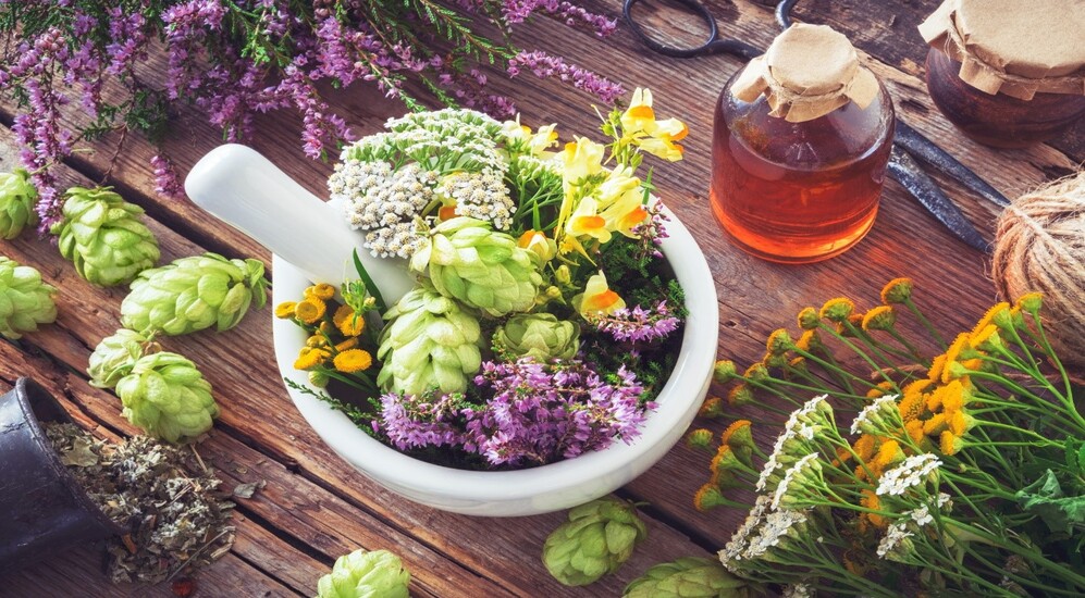 The Revival of Herbal Medicines: A Journey Back to Nature’s Remedies